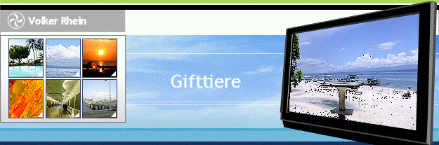 Gifttiere